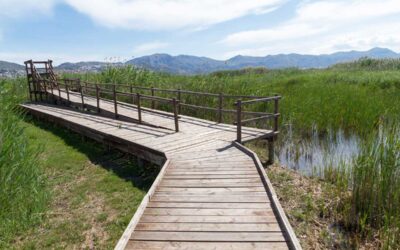 Viajar en temporada baja a la Costa Blanca: ventajas de alojarse en Casa Antiquary